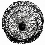 ball-855316-items