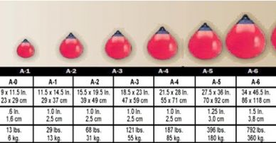 Polyform Series